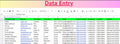Professional Data Entry & Spreadsheet Services