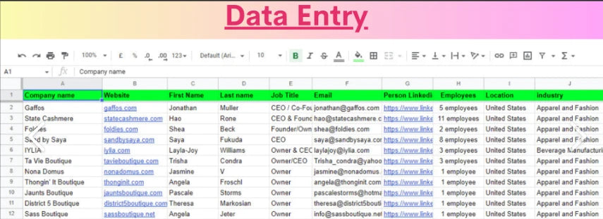 Professional Data Entry & Spreadsheet Services